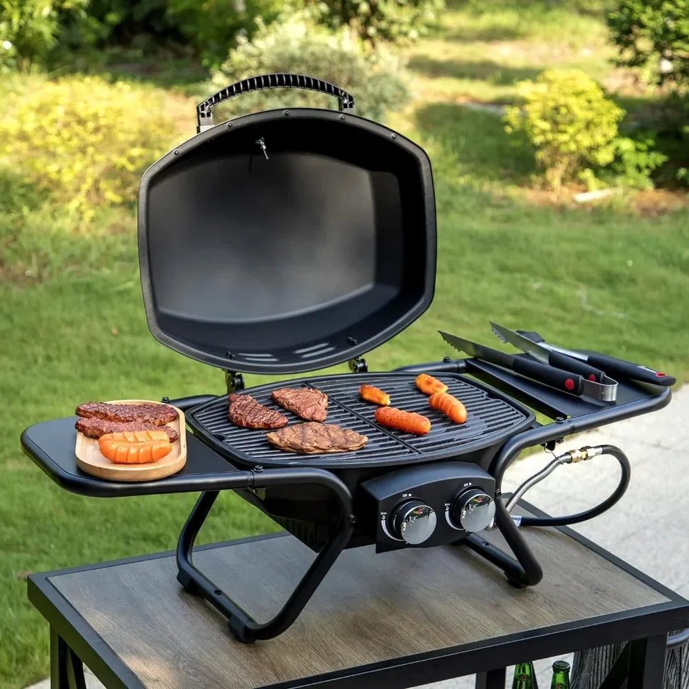 Propane Grill Cooking Plate - All Fresh Finds