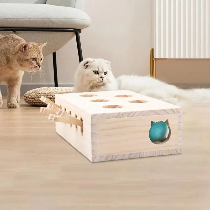 5 Hole Cat Whack Mole Box - All Fresh Finds