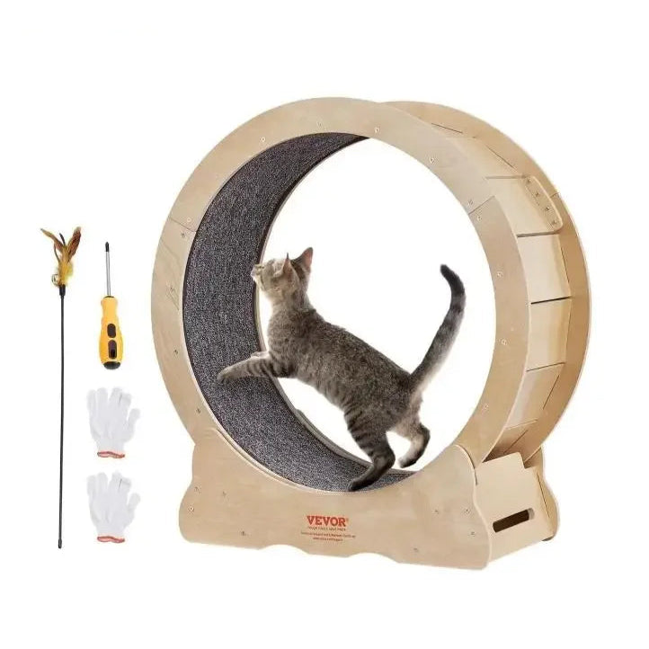 Cat Exercise Wheel - All Fresh Finds