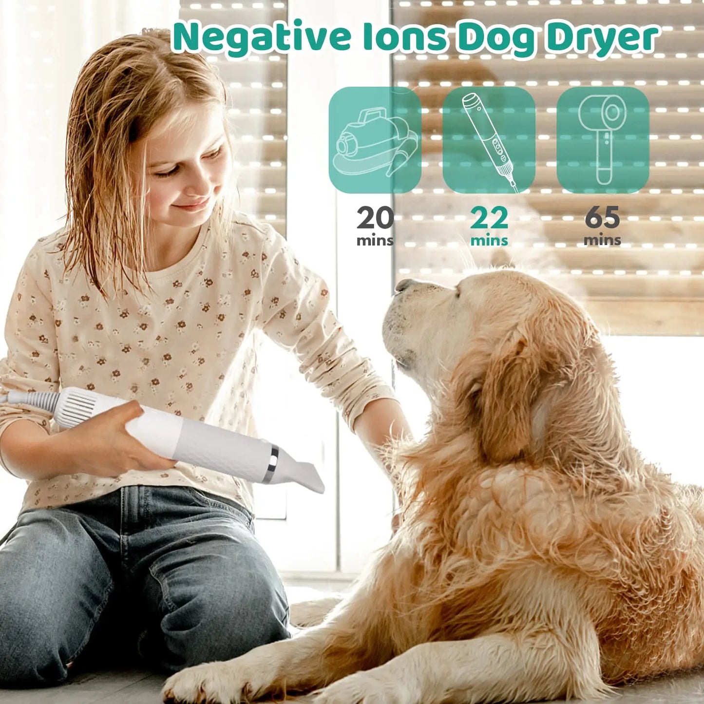 Dog Hair Dryer - All Fresh Finds