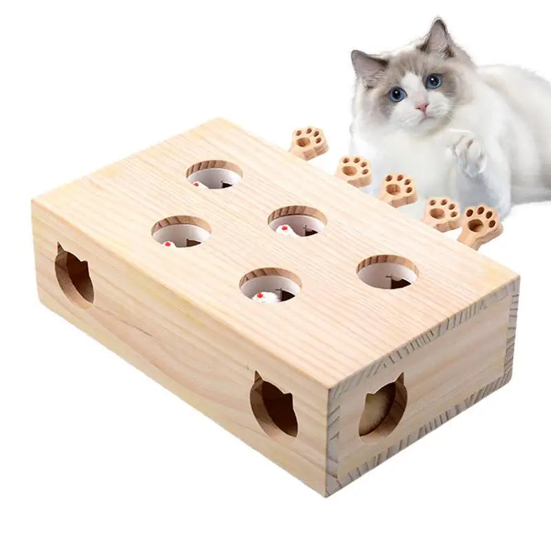 5 Hole Cat Whack Mole Box - All Fresh Finds