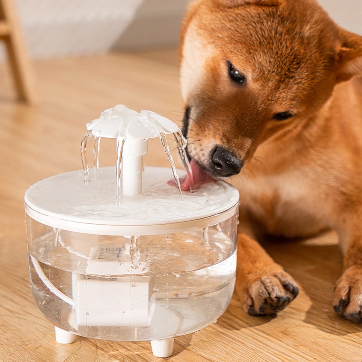 Cat Water Fountain - All Fresh Finds
