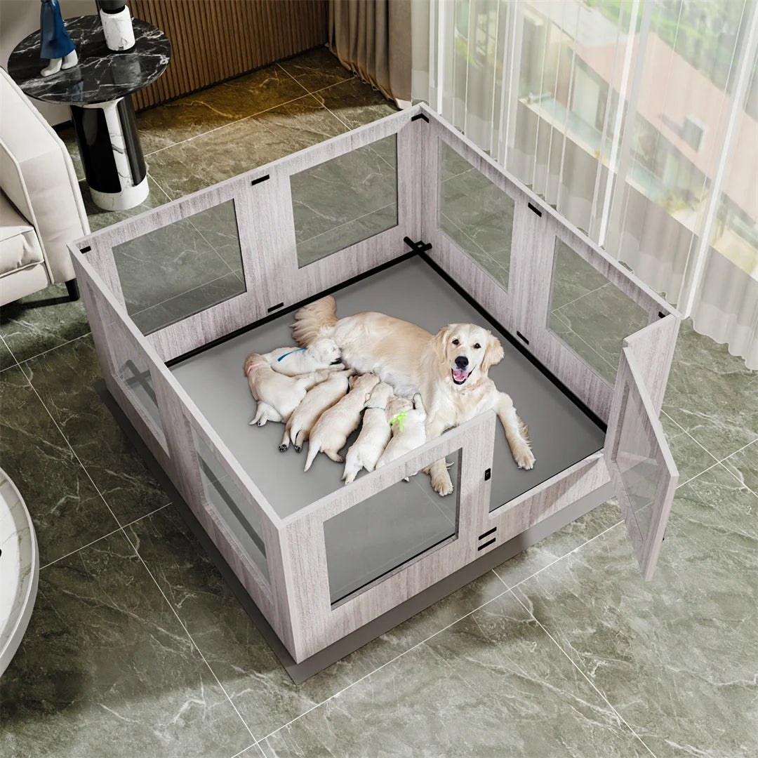 Tempered Glass Pet Whelping Box - All Fresh Finds