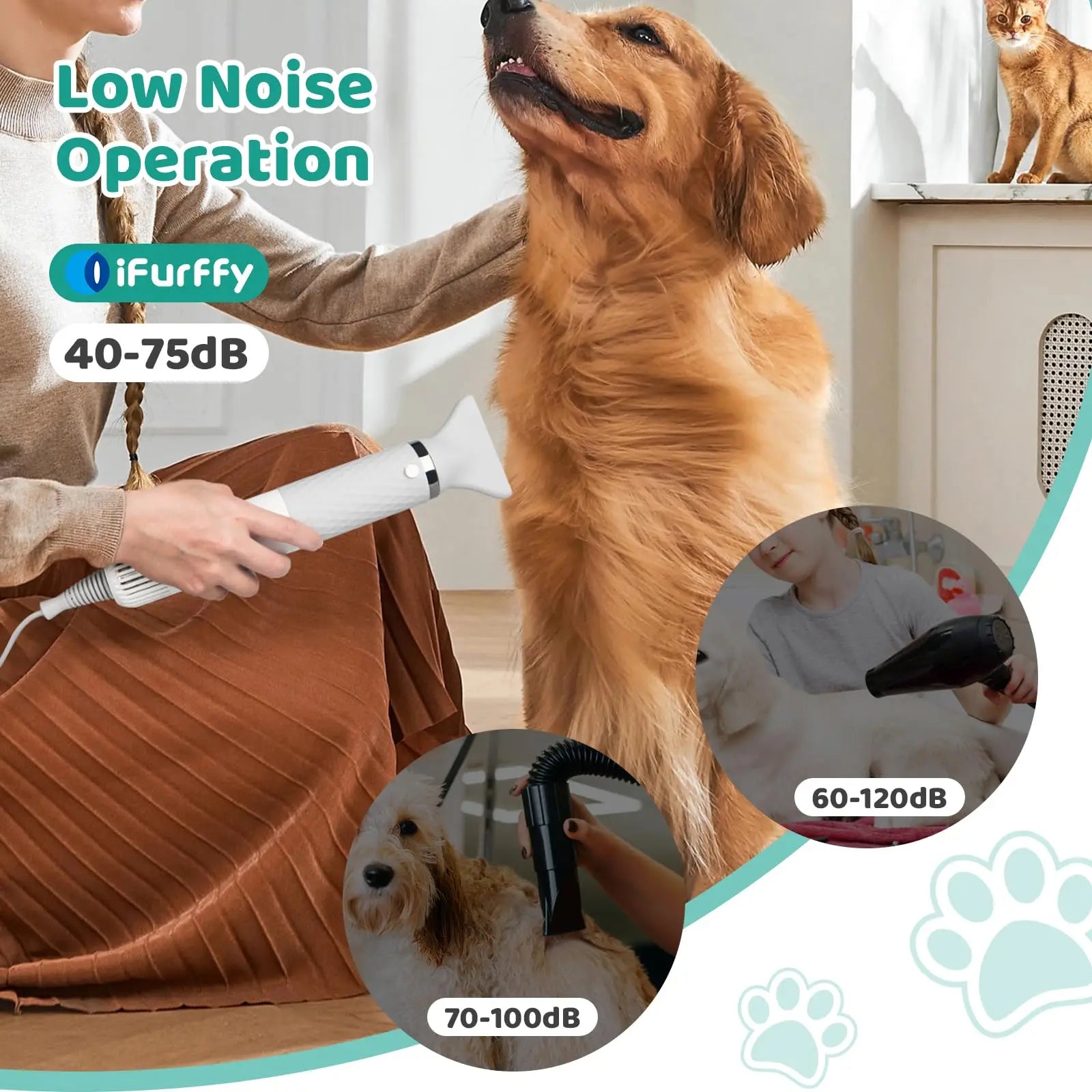 Dog Hair Dryer - All Fresh Finds
