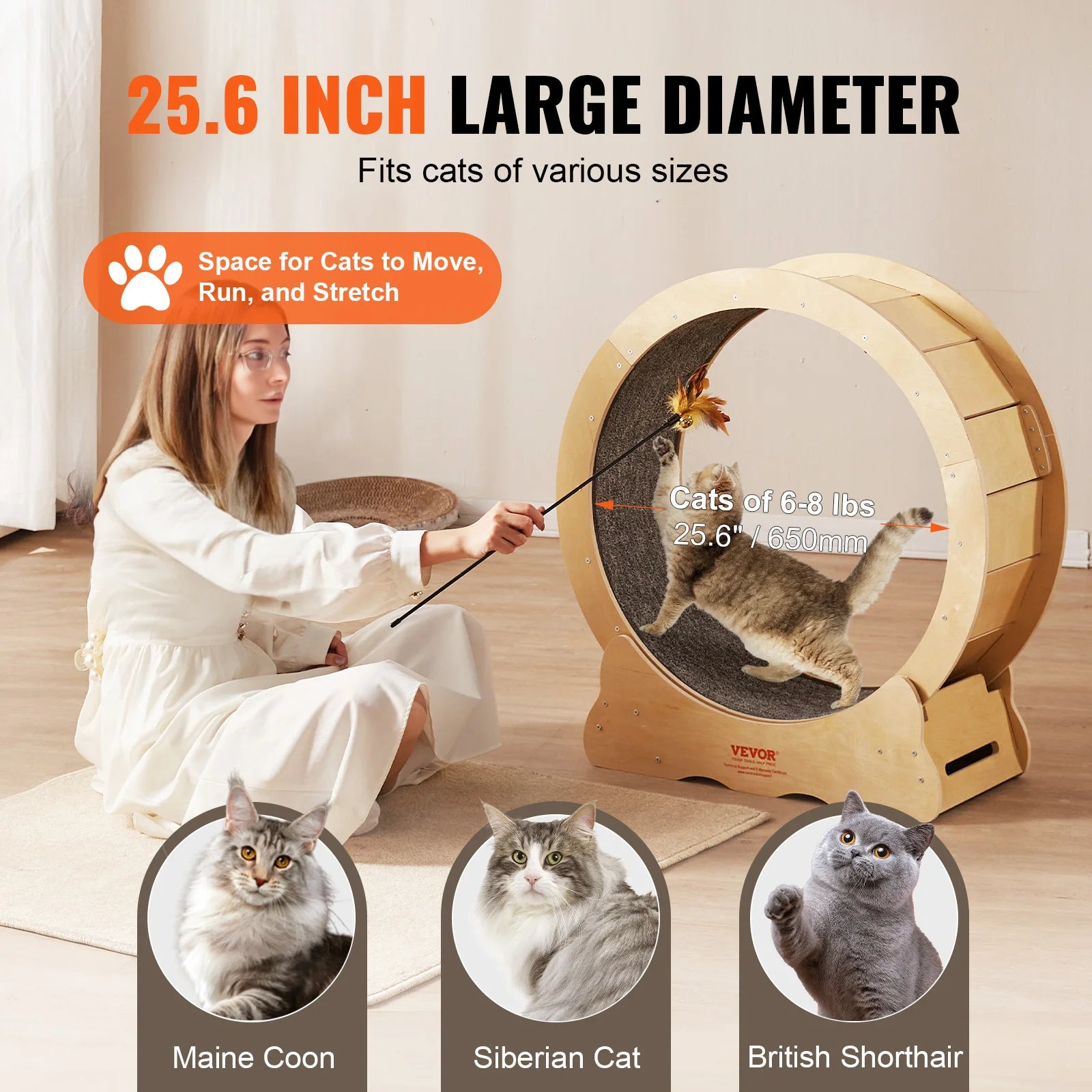 Cat Exercise Wheel - All Fresh Finds