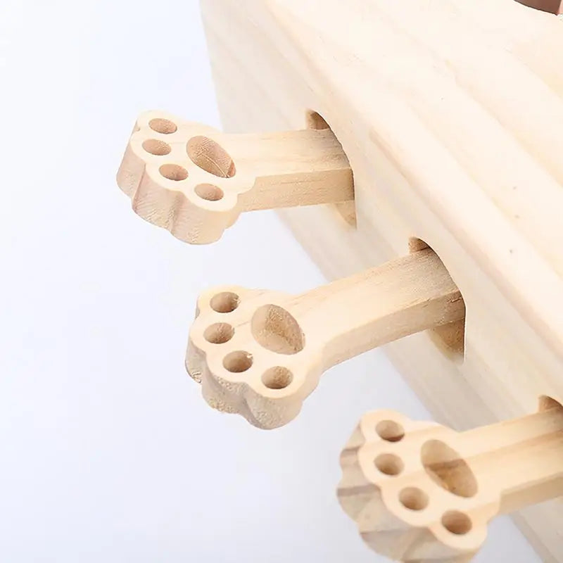 5 Hole Cat Whack Mole Box - All Fresh Finds